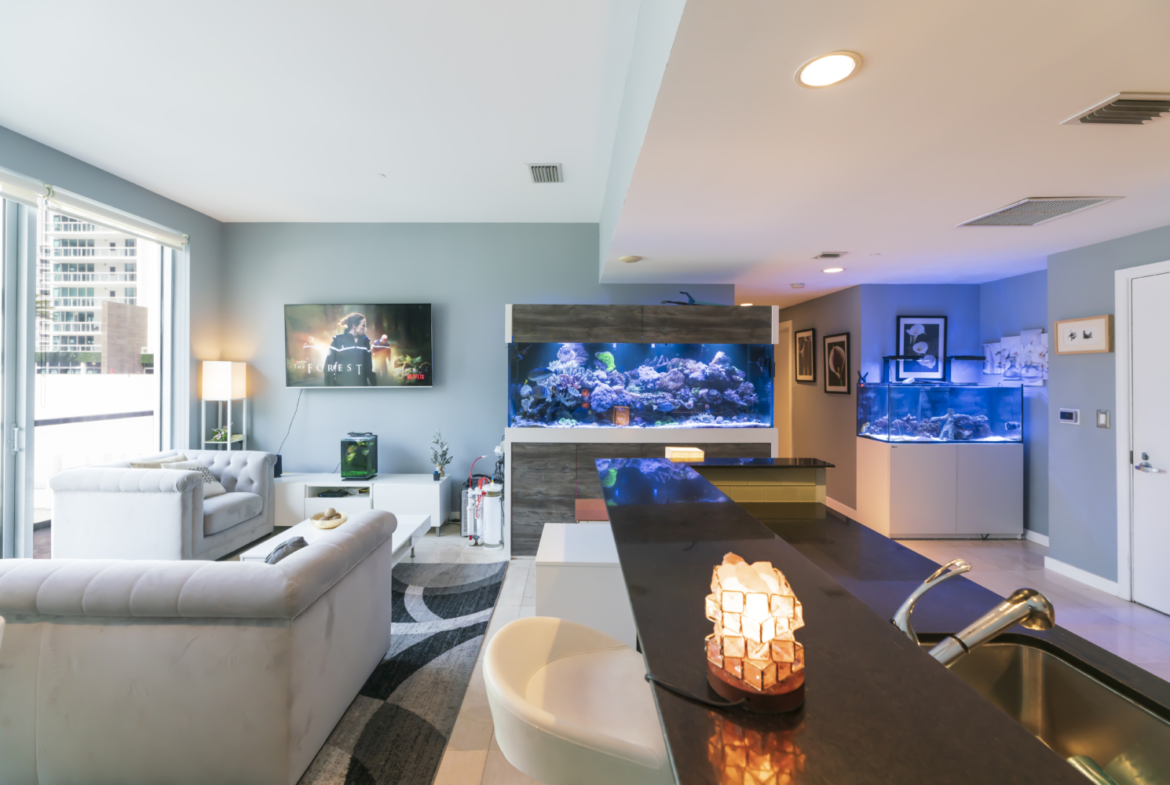 Apartment Living Area